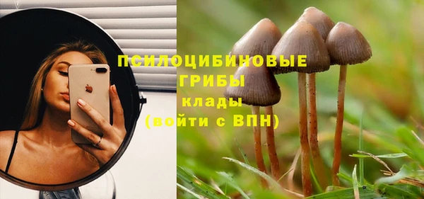 стафф Верхний Тагил